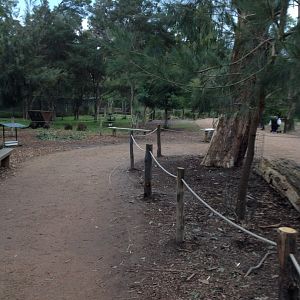 Wallaby Walk-through