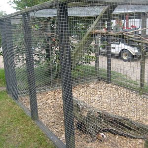 Blåvand Zoo - Budgie aviary