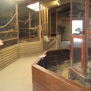 Blåvand Zoo - Monkey house