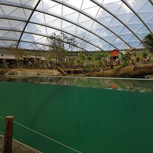 Viewing-window Manatee-enclosure