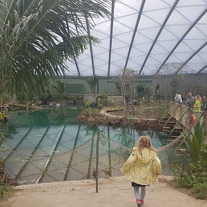 View in Mangrove-hall