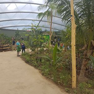 View in Mangrove-hall