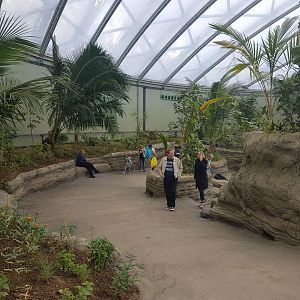 View in Mangrove-hall