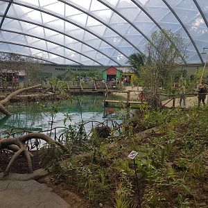 View in Mangrove-hall