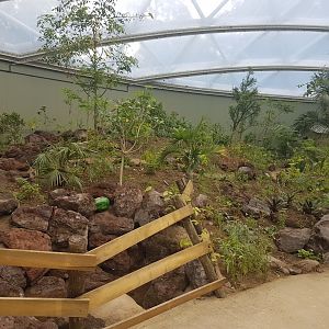 View into Mangrove-hall