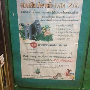 Signage - can anyone translate?