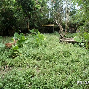 formosan sika deer exhibit