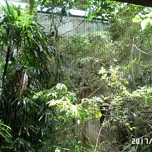 One of the smaller aviary