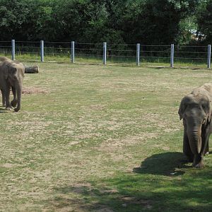 Not for much longer?