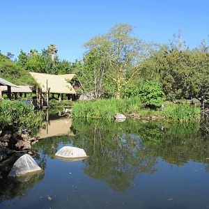 Shoebill Stork Island (see the stork?)
