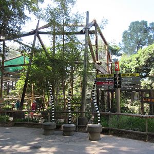 Ring-Tailed Lemur Walk-Through Exhibit