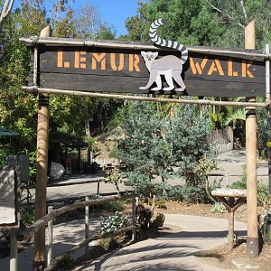 Ring-Tailed Lemur Walk-Through Exhibit