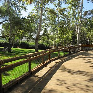 Southern Gerenuk Exhibit + Visitor Boardwalk