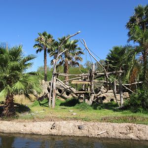 Kikuyu Colobus Monkey Exhibit