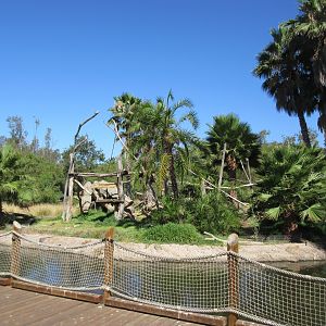 Kikuyu Colobus Monkey Exhibit