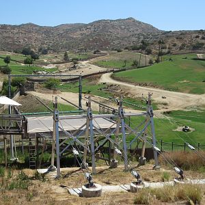 Zipline + African Savanna