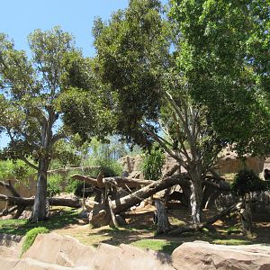 Lowland Gorilla Exhibit