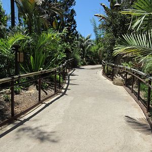Tiger Trail - Visitor Pathway