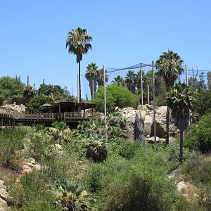 Condor Ridge - California Condor Exhibit + Boardwalk