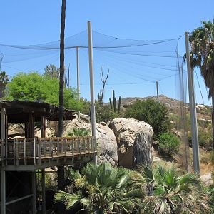 Condor Ridge - California Condor Exhibit