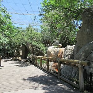 Wings of the World Aviary (near zoo's entrance)