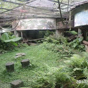 Lemur outdoor exhibit
