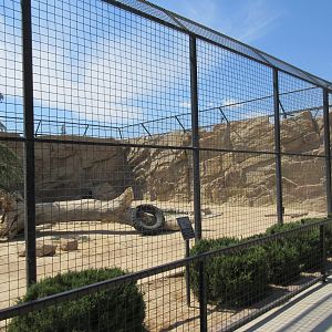 Malayan Tiger Exhibit #1