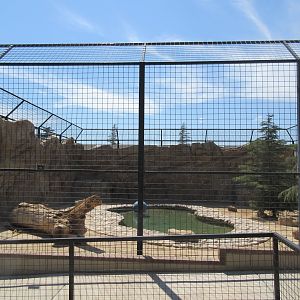 Malayan Tiger Exhibit #2