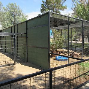 Serval Exhibit - Side View
