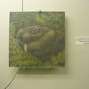 Rhinodicynodon gracile reconstruction