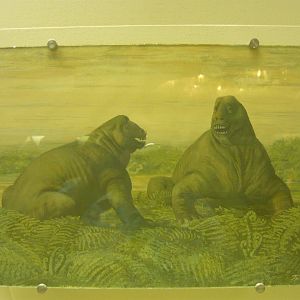 Ulemosaurus svijagensis reconstruction