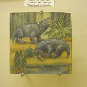 Lystrosaurus georgi reconstruction