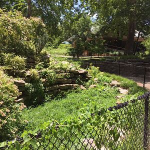 Historic 1938 WPA-built alligator grotto - now a decorative koi pond
