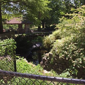 Historic 1938 WPA-built alligator grotto - now a decorative koi pond
