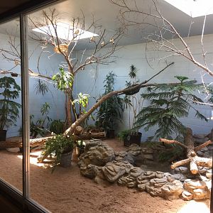 Indoor mixed-species aviary