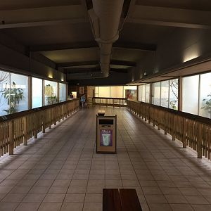 Aviary wing of the Conservation Center