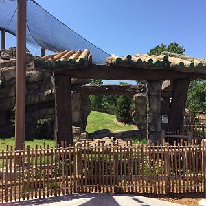 Lost Kingdom - Snow leopard habitat