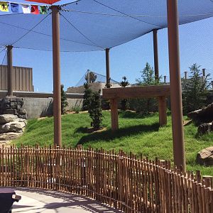 Lost Kingdom - Snow leopard habitat