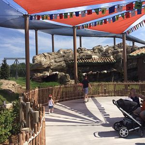 Lost Kingdom - Snow leopard habitat