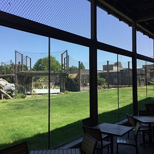 Lost Kingdom - dining patio with viewing into tiger yard