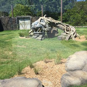 Lost Kingdom - Malayan tiger west yard