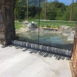 Lost Kingdom - Malayan tiger west yard