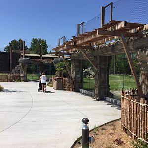 Lost Kingdom - Malayan tiger west yard