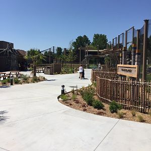 Lost Kingdom - Malayan tiger west yard