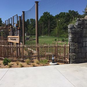 Lost Kingdom - Malayan tiger west yard