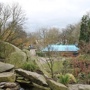 View in the Zoo
