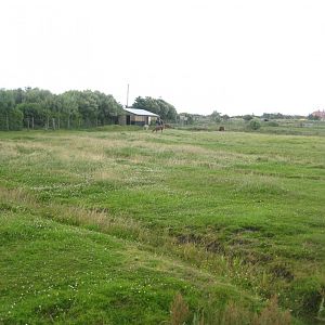 Blåvand Zoo - Hoofstock walkthrough