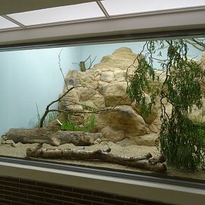 New lovebird/patridge enclosure