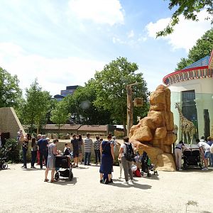 New Giraffe/Mountain zebra enclosure