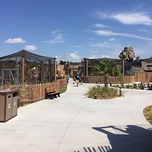 Lost Kingdom - looking back toward Aviary on left and and Komodo dragon outdoor yard and Main Building on right